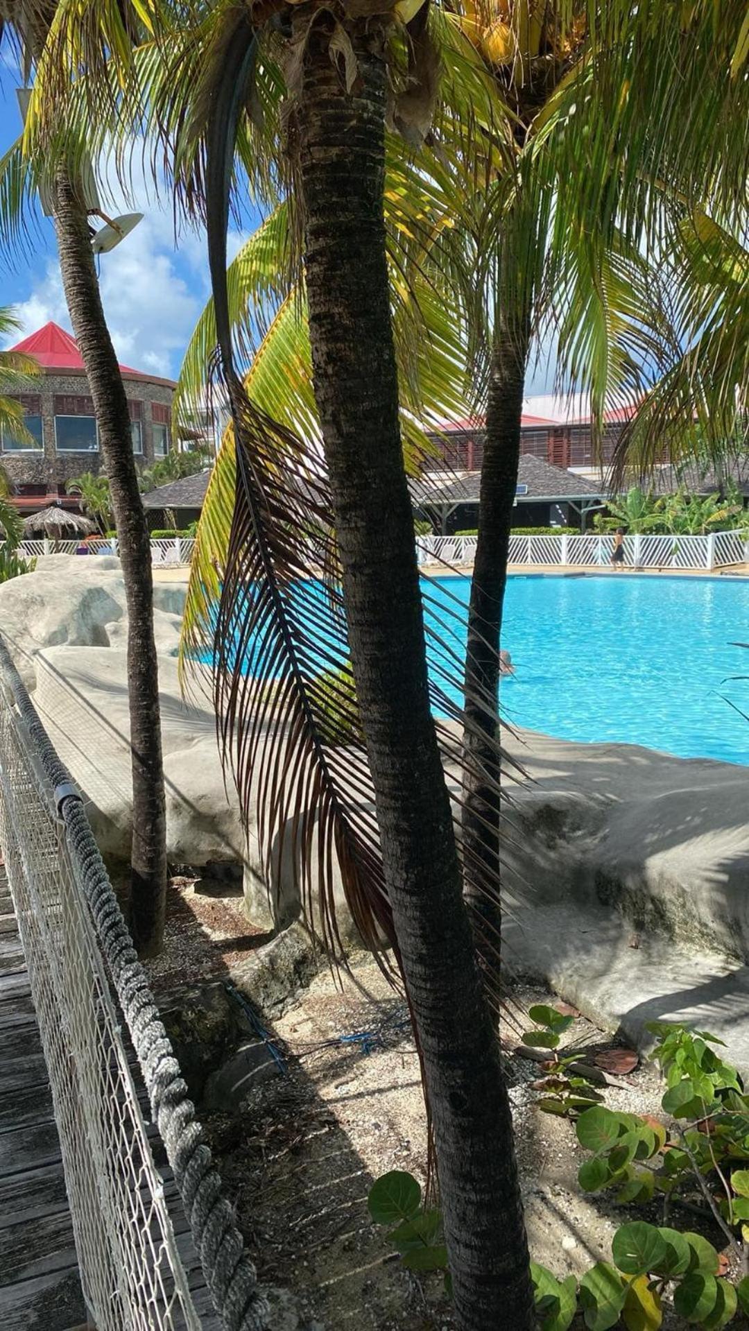 Studio Bord De Mer Avec Piscine - Le Manganao, Saint-Francois Exteriör bild